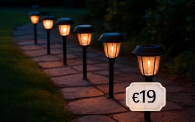 Discover solar lights price deals to brighten your yard today.